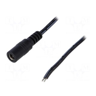 Cable | wires,DC 5,5/2,1 socket | straight | 0.5mm2 | black | 1.46m