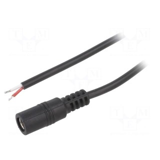 Cable | 2x0.5mm2 | wires,DC 5,5/2,1 socket | straight | black | 2m