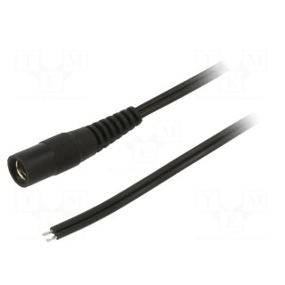 Cable | 2x0.5mm2 | wires,DC 5,5/2,1 socket | straight | black | 2m