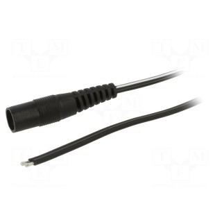 Cable | 2x0.5mm2 | wires,DC 5,5/2,1 socket | straight | black | 3m