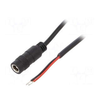 Cable | 2x0.5mm2 | wires,DC 5,5/2,1 socket | straight | black | 4m