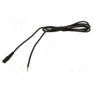 Cable | 2x0.5mm2 | wires,DC 5,5/2,1 socket | straight | black | 5m