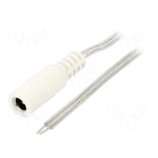Cable | 2x0.5mm2 | wires,DC 5,5/2,1 socket | straight | transparent