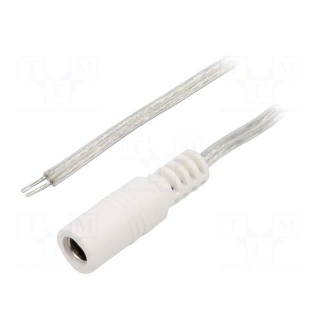 Cable | 2x0.5mm2 | wires,DC 5,5/2,1 socket | straight | transparent