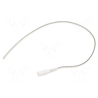 Cable | 2x0.5mm2 | wires,DC 5,5/2,1 socket | straight | white | 0.5m
