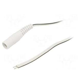 Cable | 2x0.5mm2 | wires,DC 5,5/2,1 socket | straight | white | 1.5m