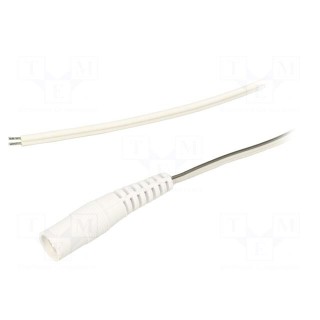 Cable | 2x0.5mm2 | wires,DC 5,5/2,1 socket | straight | white | 3m