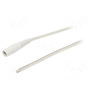 Cable | 2x0.5mm2 | wires,DC 5,5/2,1 socket | straight | white | 5m
