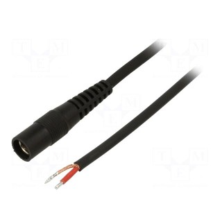 Cable | 1x1mm2 | wires,DC 5,5/2,1 socket | straight | black | 5m