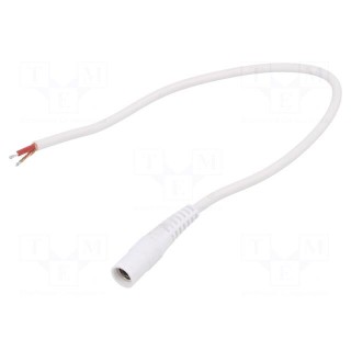 Cable | 1x1mm2 | wires,DC 5,5/2,1 socket | straight | white | 0.25m