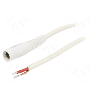 Cable | 1x1mm2 | wires,DC 5,5/2,1 socket | straight | white | 0.5m