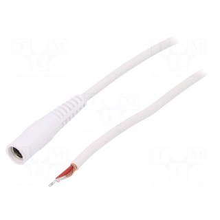 Cable | wires,DC 5,5/2,1 socket | straight | 1mm2 | white | 1.5m