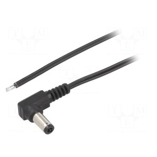 Cable | 2x0.35mm2 | wires,DC 5,5/2,5 plug | angled | black | 2m