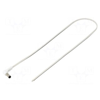 Cable | 2x0.35mm2 | wires,DC 5,5/2,5 plug | angled | white | 0.5m