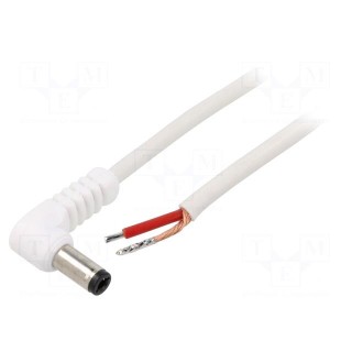 Cable | 1x1mm2 | wires,DC 5,5/2,5 plug | angled | white | 0.5m