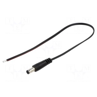Cable | 2x0.35mm2 | wires,DC 5,5/2,5 plug | straight | black | 0.25m