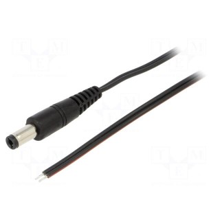 Cable | 2x0.35mm2 | wires,DC 5,5/2,5 plug | straight | black | 0.5m