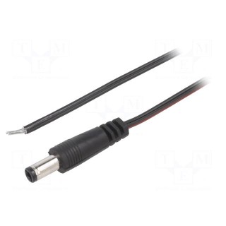 Cable | 2x0.35mm2 | wires,DC 5,5/2,5 plug | straight | black | 2m