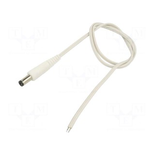 Cable | 2x0.35mm2 | wires,DC 5,5/2,5 plug | straight | white | 0.5m