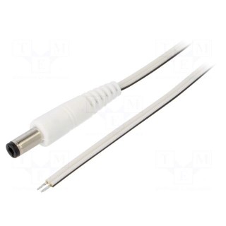 Cable | 2x0.35mm2 | wires,DC 5,5/2,5 plug | straight | white | 1.5m