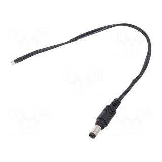 Cable | 2x0.5mm2 | wires,DC 5,5/2,5 plug | straight | black | 0.25m