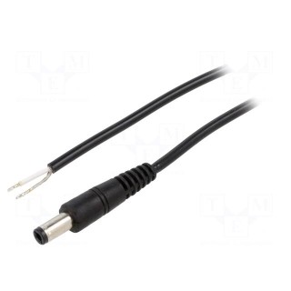 Cable | 1x0.5mm2 | wires,DC 5,5/2,5 plug | straight | black | 0.5m