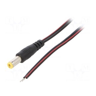Cable | 2x0.5mm2 | wires,DC 5,5/2,5 plug | straight | black | 0.8m