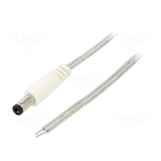 Cable | 2x0.5mm2 | wires,DC 5,5/2,5 plug | straight | transparent