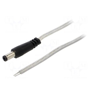 Cable | 2x0.5mm2 | wires,DC 5,5/2,5 plug | straight | transparent