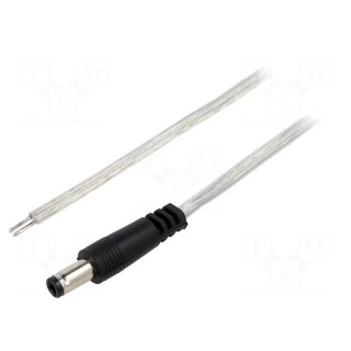 Cable | 2x0.5mm2 | wires,DC 5,5/2,5 plug | straight | transparent | 2m
