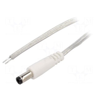 Cable | 2x0.5mm2 | wires,DC 5,5/2,5 plug | straight | transparent | 2m