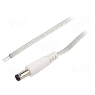 Cable | 2x0.5mm2 | wires,DC 5,5/2,5 plug | straight | transparent | 3m