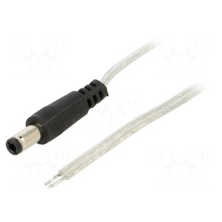 Cable | 2x0.5mm2 | wires,DC 5,5/2,5 plug | straight | transparent | 3m