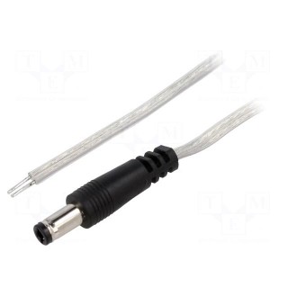Cable | 2x0.5mm2 | wires,DC 5,5/2,5 plug | straight | transparent | 5m
