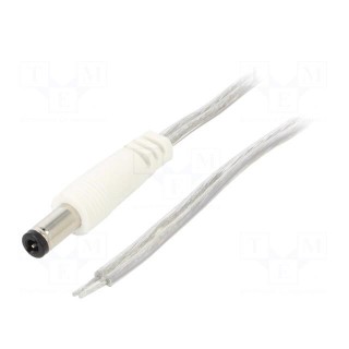 Cable | 2x0.5mm2 | wires,DC 5,5/2,5 plug | straight | transparent | 5m