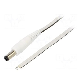 Cable | 2x0.5mm2 | wires,DC 5,5/2,5 plug | straight | white | 0.5m