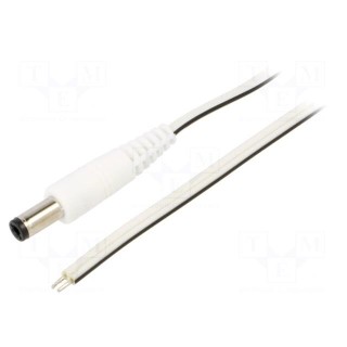 Cable | 2x0.5mm2 | wires,DC 5,5/2,5 plug | straight | white | 1.5m