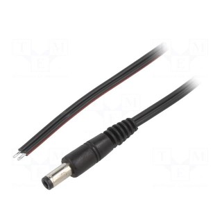 Cable | 2x0.75mm2 | wires,DC 5,5/2,5 plug | straight | black | 0.5m