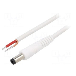 Cable | 1x1mm2 | wires,DC 5,5/2,5 plug | straight | white | 1.5m