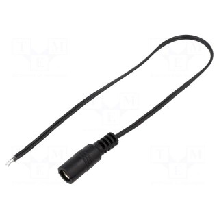 Cable | 2x0.35mm2 | wires,DC 5,5/2,5 socket | straight | black | 0.25m