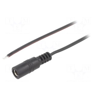Cable | 2x0.35mm2 | wires,DC 5,5/2,5 socket | straight | black | 1.5m