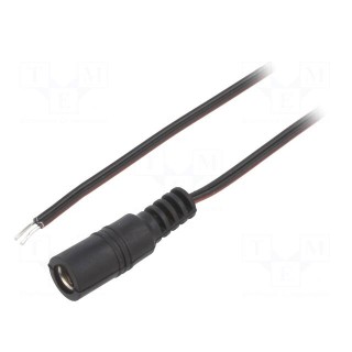 Cable | 2x0.35mm2 | wires,DC 5,5/2,5 socket | straight | black | 2m