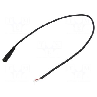 Cable | 2x0.5mm2 | wires,DC 5,5/2,5 socket | straight | black | 3m