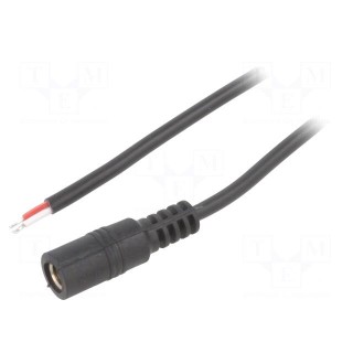 Cable | 2x0.5mm2 | wires,DC 5,5/2,5 socket | straight | black | 1.5m