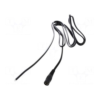 Cable | 2x0.5mm2 | wires,DC 5,5/2,5 socket | straight | black | 5m