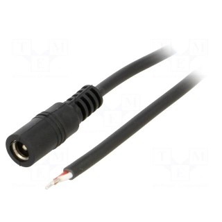 Cable | 2x0.5mm2 | wires,DC 5,5/2,5 socket | straight | black | 2m