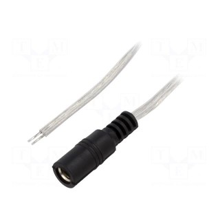 Cable | 2x0.5mm2 | wires,DC 5,5/2,5 socket | straight | transparent