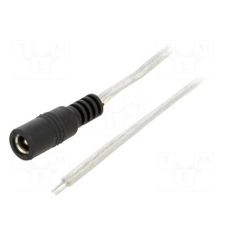 Cable | 2x0.5mm2 | wires,DC 5,5/2,5 socket | straight | transparent