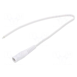 Cable | 2x0.5mm2 | wires,DC 5,5/2,5 socket | straight | white | 0.25m