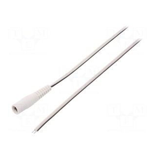 Cable | 2x0.5mm2 | wires,DC 5,5/2,5 socket | straight | white | 1.5m